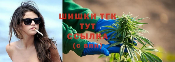 тгк Заводоуковск