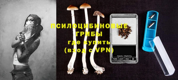 сатива Заволжск
