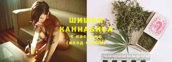 сатива Заволжск