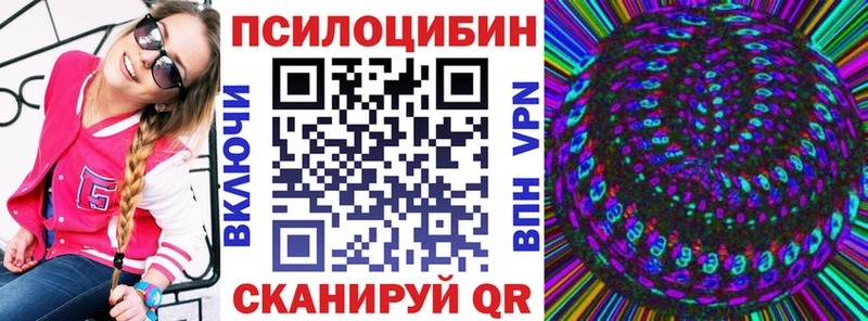 Купить где  Власиха  Псилоцибиновые грибы Psilocybe 